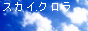�X�J�C�E�N��������
